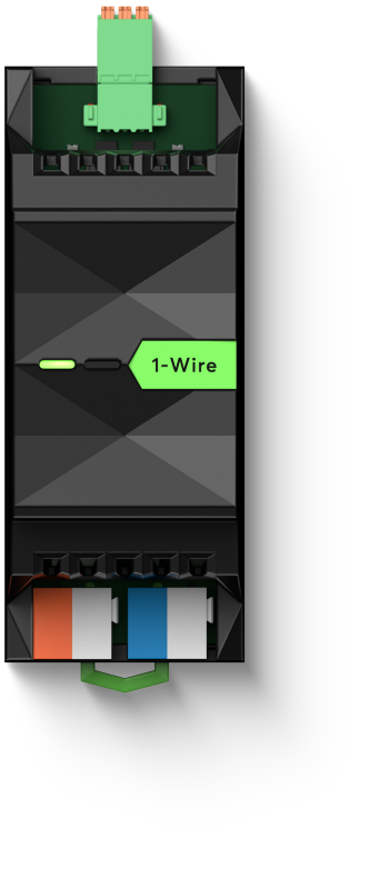 1wire Extension