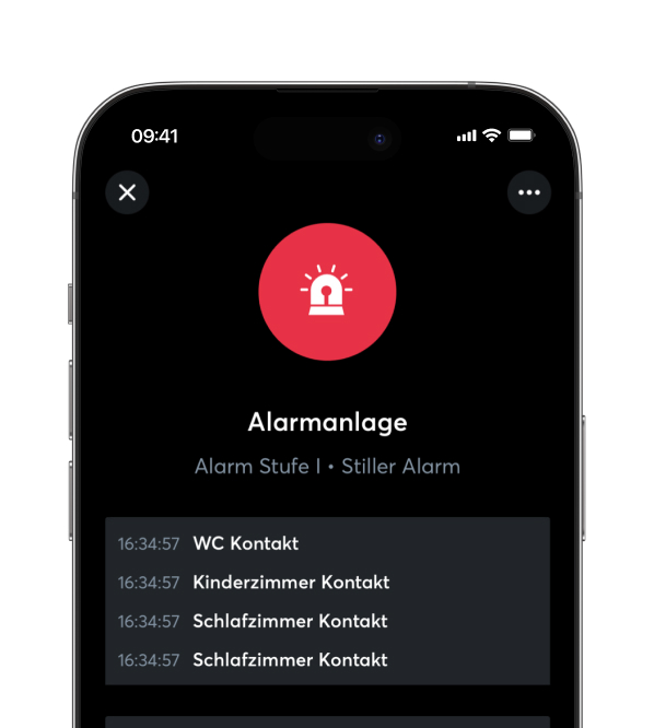 Icon Glühbirne