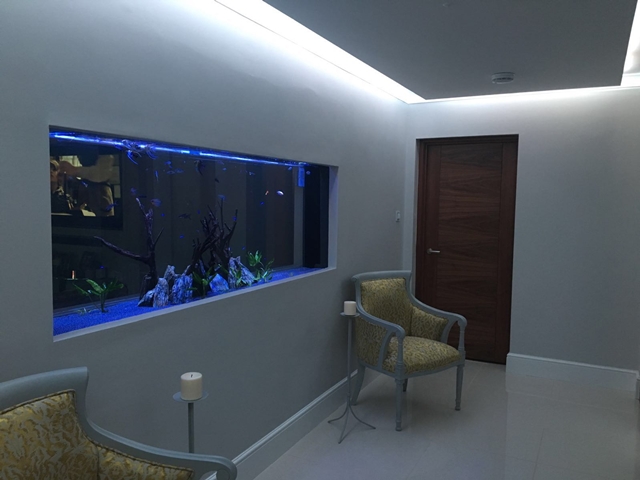 Fish Tank 1 Advanced Smart Homes Enen Loxone Smart Home