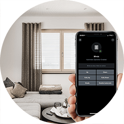 App control for electric blinds