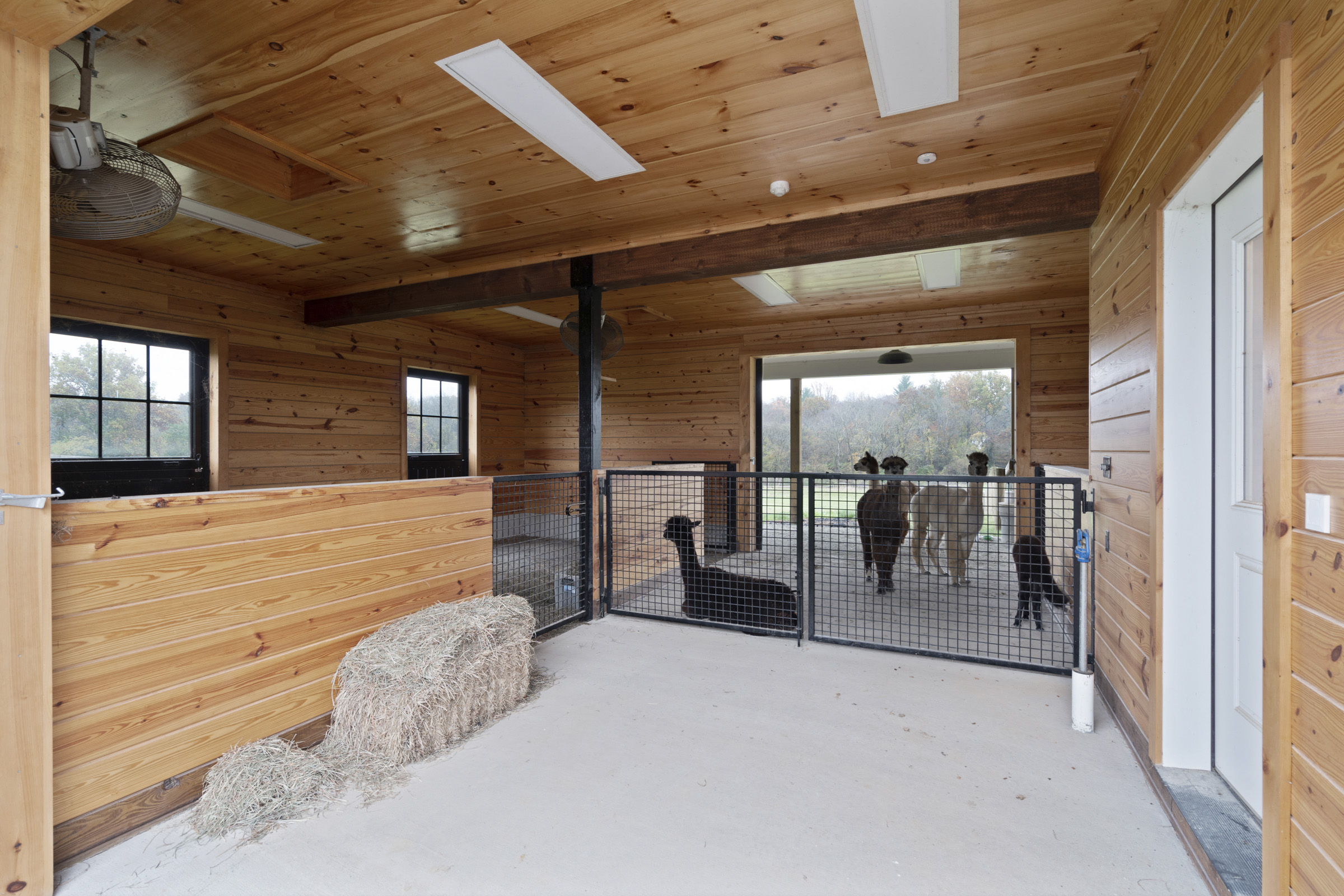 Alpaca barn with smart home products