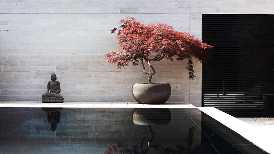 Luxury swimming pool with zen scenery of trees and Buddha statue