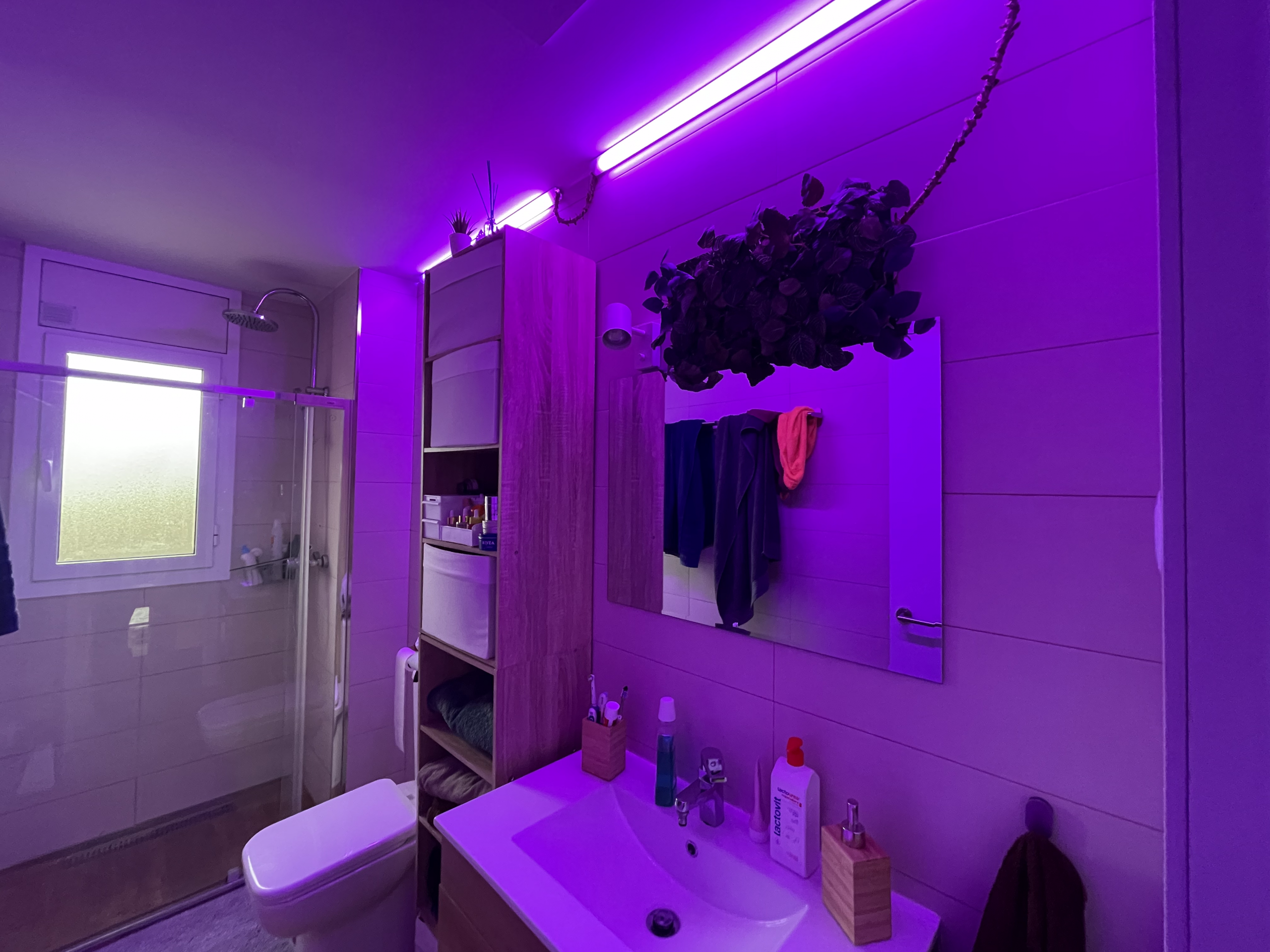 baño violeta