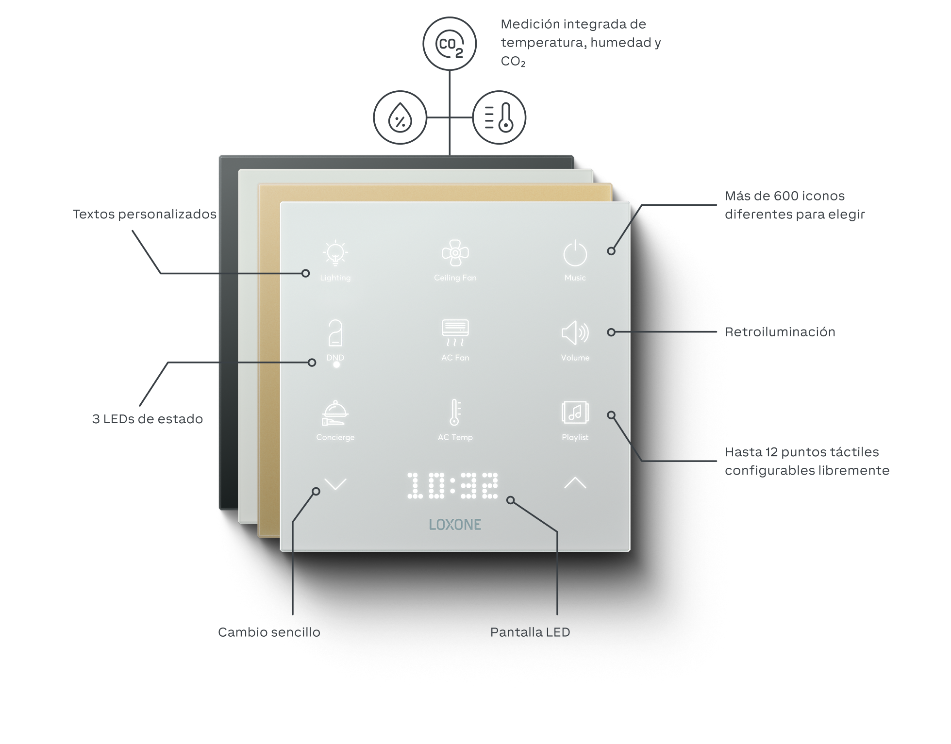 Infografía del Touch Pure Flex