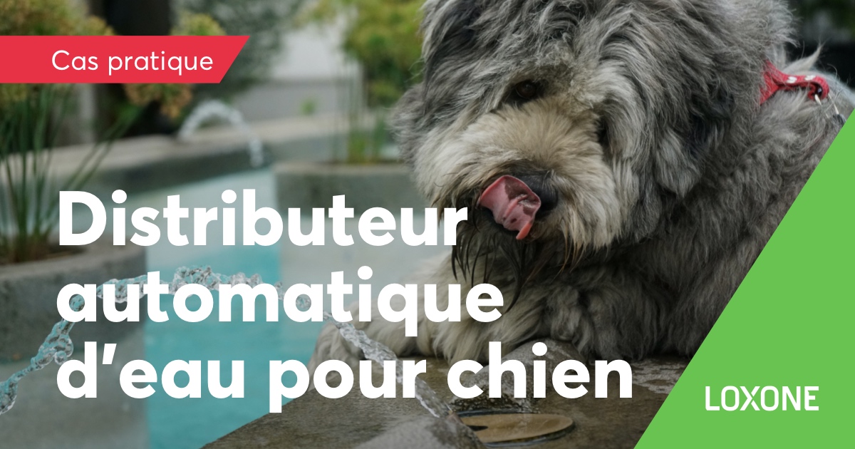 Distributeur d’eau automatique et intelligent pour chien Loxone — free download