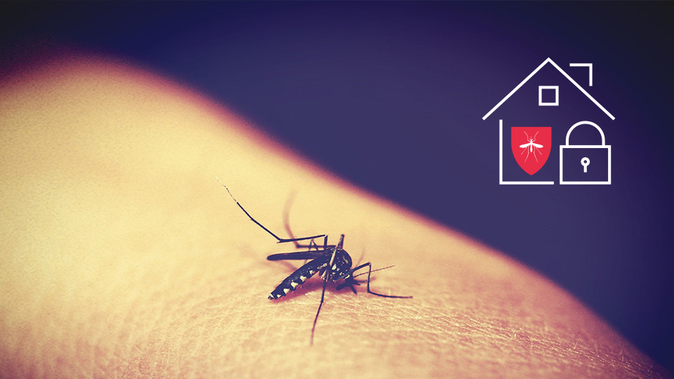 La zanzariera naturale per gli insetti nella Loxone Smart Home!