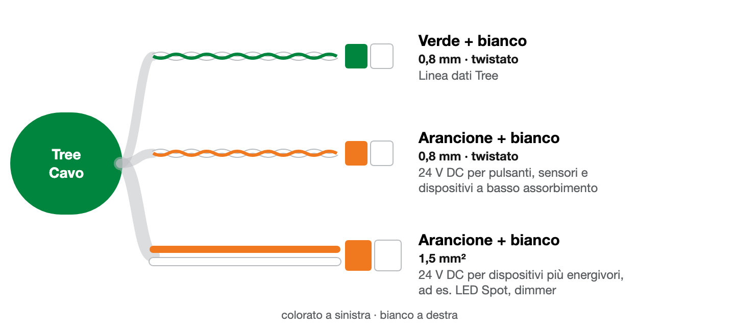 Conduttori del cavo Tree: verde/bianco e arancione/bianco come coppie twistate da 0,8 mm, più arancione e bianco da 1,5 mm². Colore su colore, conduttore colorato a sinistra, bianco a destra.