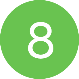 Icon 8
