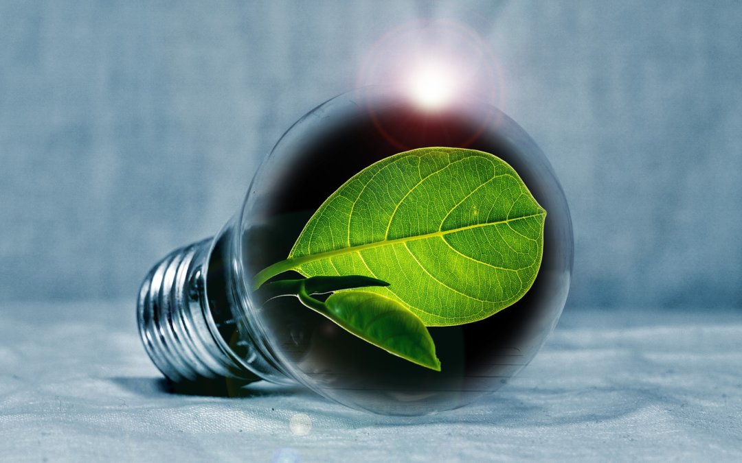 Eenvoudig een digitale meter uitlezen met Youless – Update 2025. Dit kan nu nog makkelijker met onze P1 Meter Reader Air