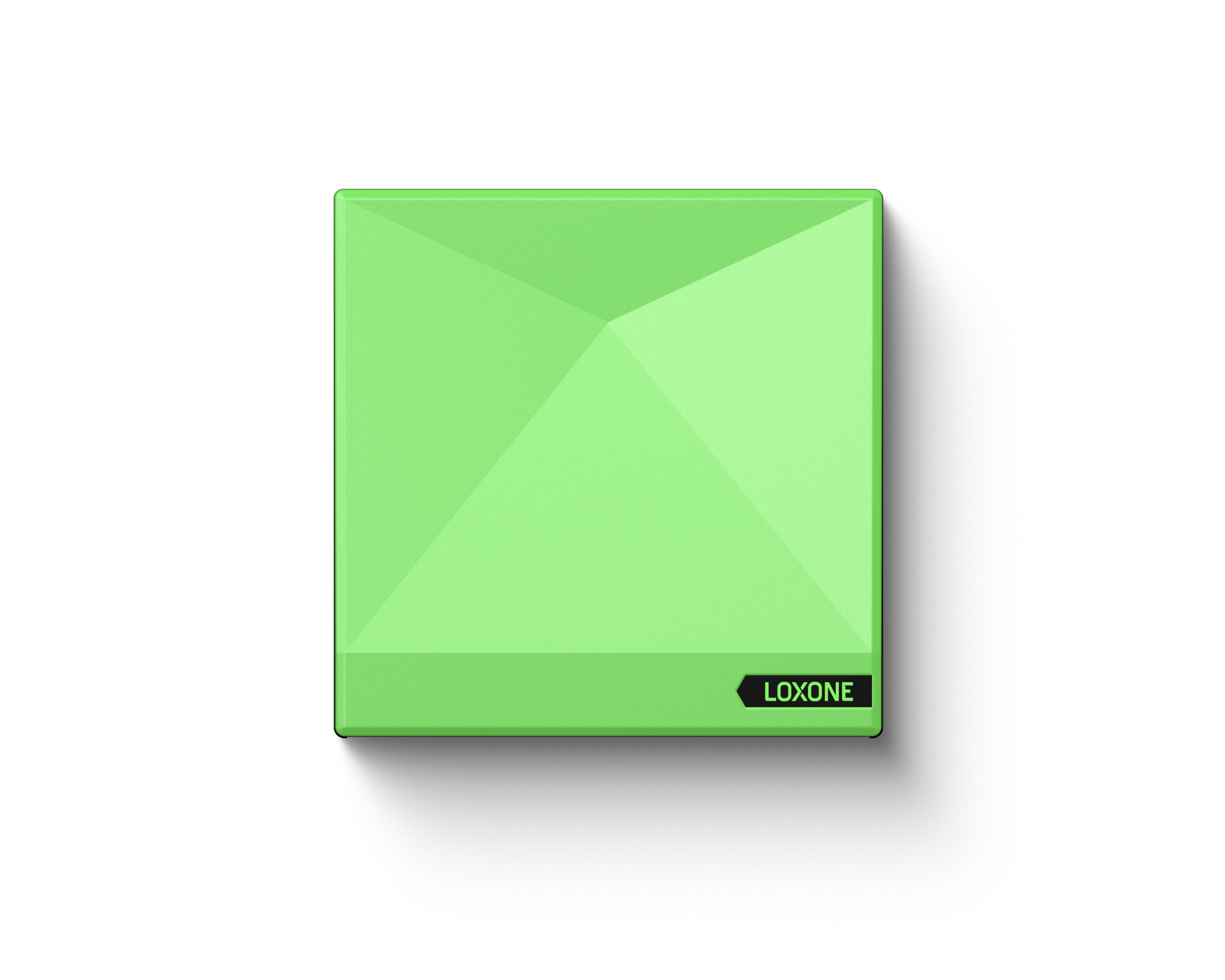 Miniserver GO (1)