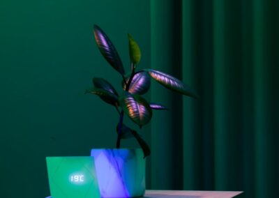 Zielona scena świetlna w showroomie Bifam
