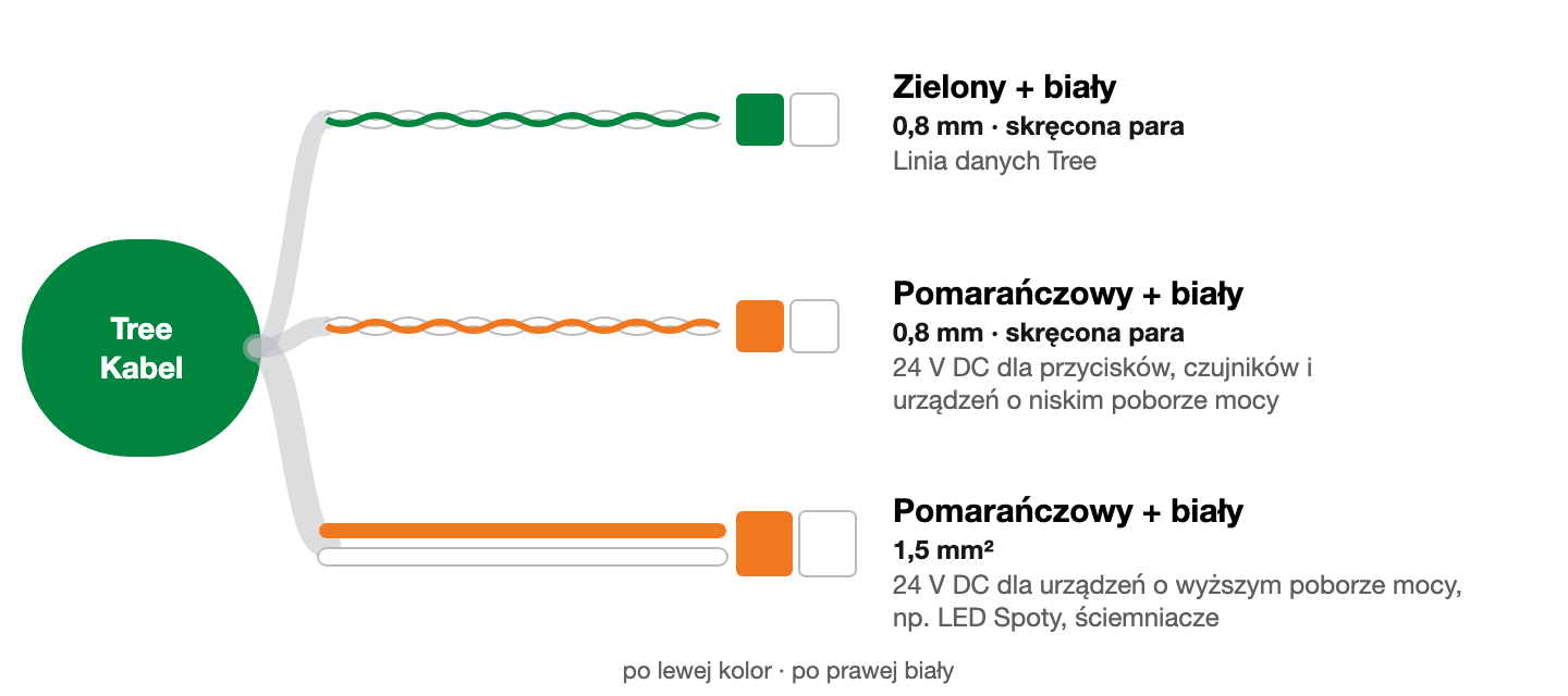 Żyły kabla Tree: zielony/biały i pomarańczowy/biały jako skręcone pary 0,8 mm oraz pomarańczowa i biała 1,5 mm². Kolor do koloru, kolorowa żyła po lewej, biała po prawej.