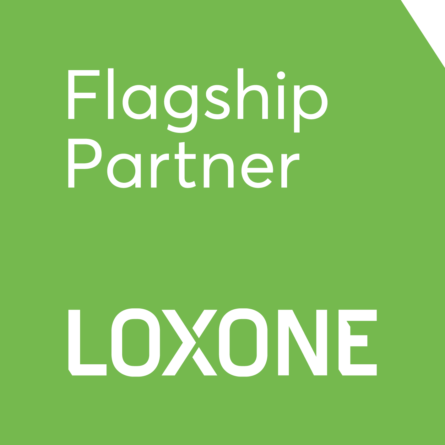 Logo Flagship partner