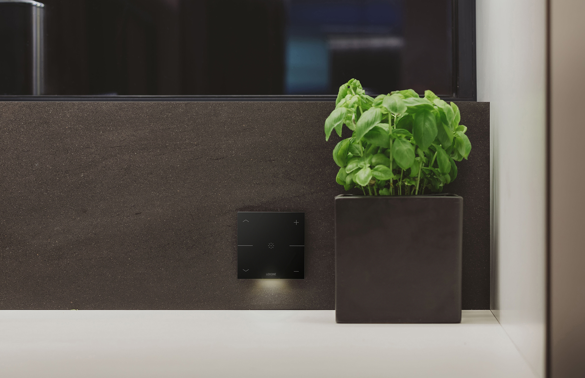 Чорний LOXONE Touch Pure з м'яким підсвічуванням на темній стіні біля горщика з базиліком